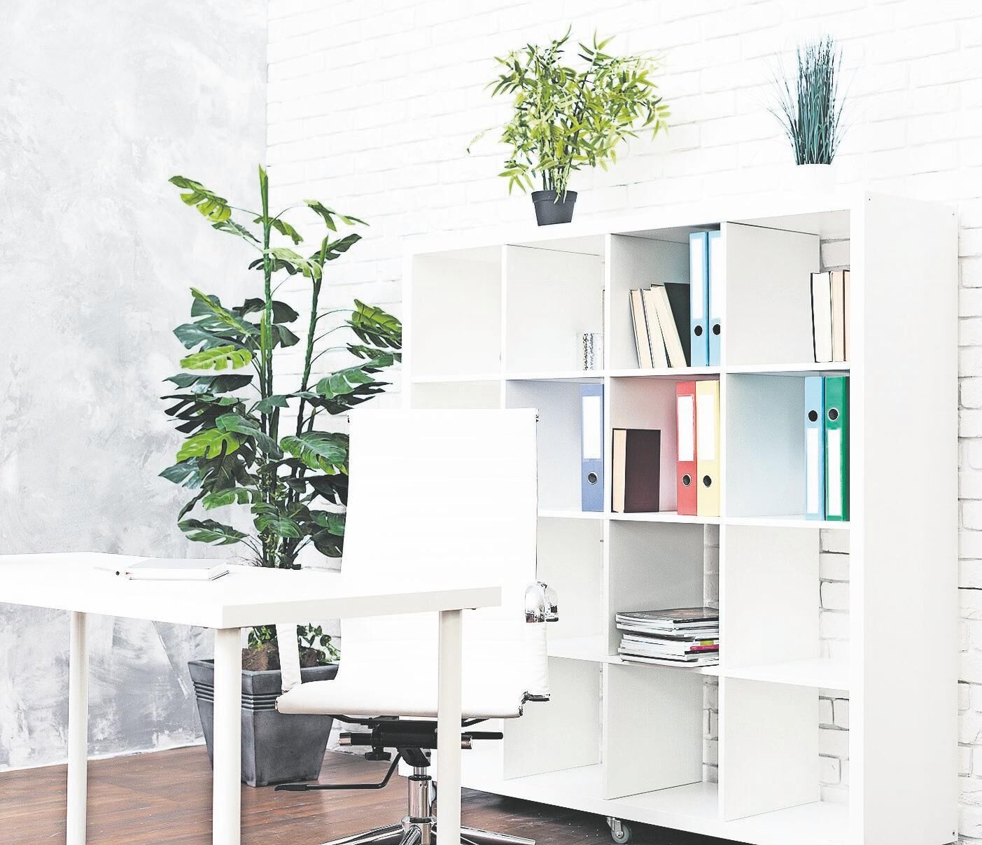 covid trends at home